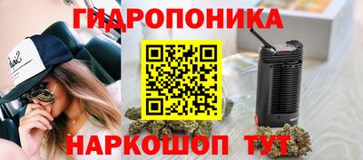 молекула духа Анапа