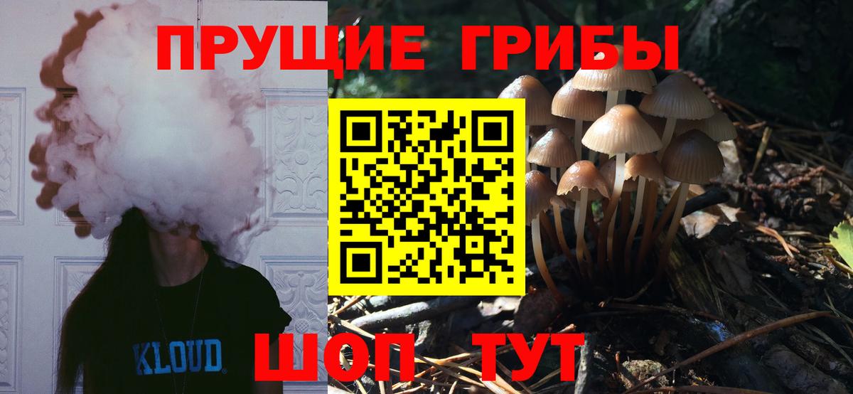 Галлюциногенные грибы MAGIC MUSHROOMS Чебоксары