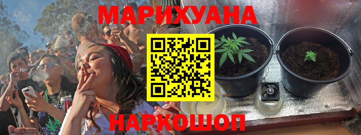 Бошки марихуана план Чебоксары